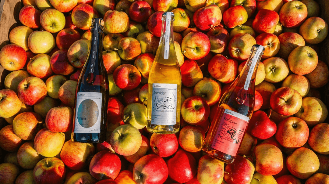 Norwegian apple orchard